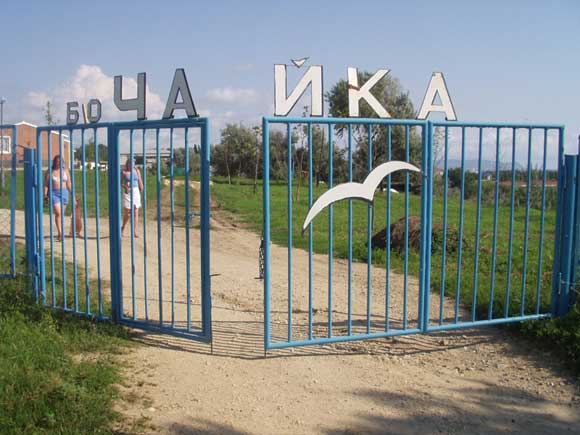 фото база отдыха чайка онлайн фото база отдыха чайка