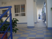 � ��������.